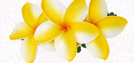 Sublimez votre coiffure de mariage avec des fleurs : Tiaré, Hibiscus et barrette cheveux en fleur de Tiaré