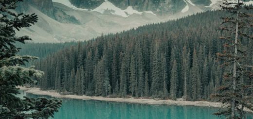 Inspiration Déco : Les Meilleurs Modèles de Papier Peint Panoramique