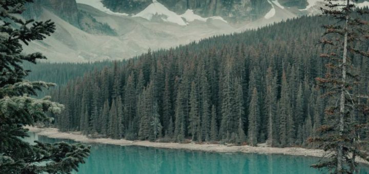 Inspiration Déco : Les Meilleurs Modèles de Papier Peint Panoramique