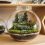 « Créez un terrarium DIY pour apporter une touche de verdure élégante à votre intérieur »