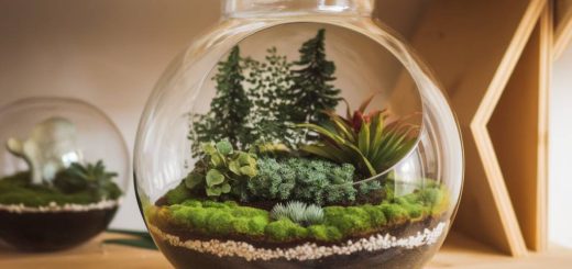 « Créez un terrarium DIY pour apporter une touche de verdure élégante à votre intérieur »