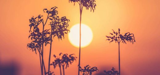 Voyage en Algérie : entre mer, montagne et désert