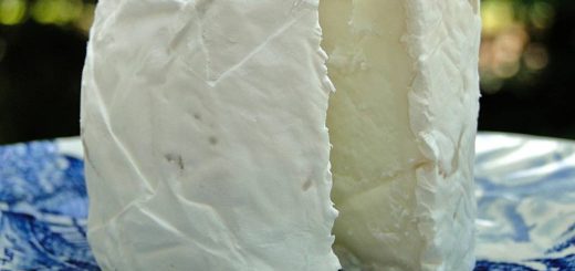 Quelle différence entre un fromage de chèvre frais et affiné