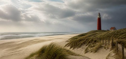 Pays-Bas Texel : que faire et voir sur cette île néerlandaise ?