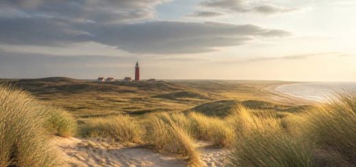 Texel Hollande : que voir et que faire sur cette île authentique de la mer des Wadden
