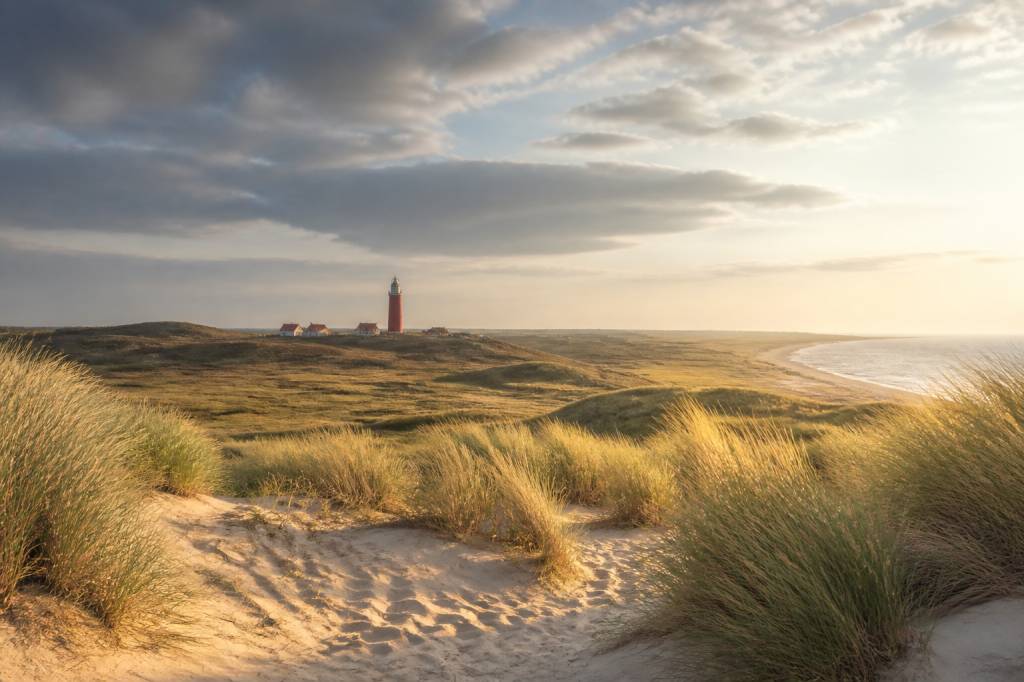 Texel Hollande : que voir et que faire sur cette île authentique de la mer des Wadden