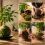 Tuto kokedama : créez votre décoration végétale japonaise étape par étape