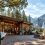 Yosemite Welcome Center : services et conseils pour bien préparer votre visite